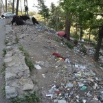 Garbage-disposal-in-shimla