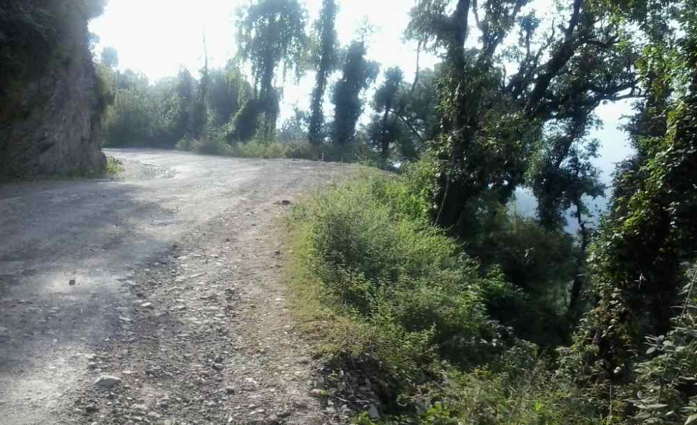 Galog -Dhami Road (1)