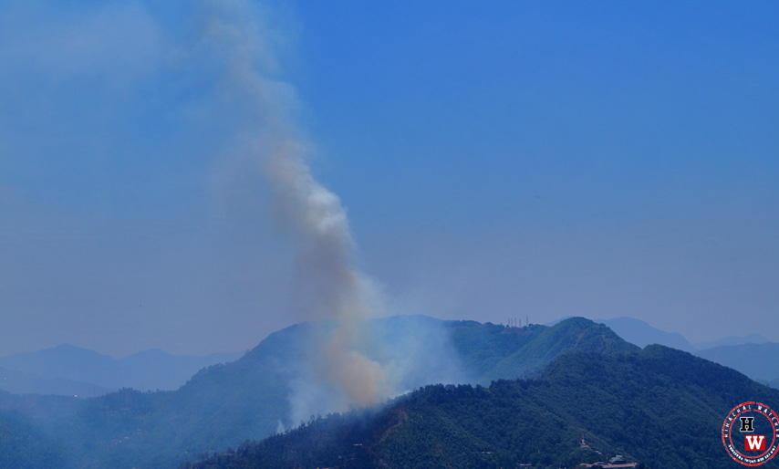 Shimla FOrest fire
